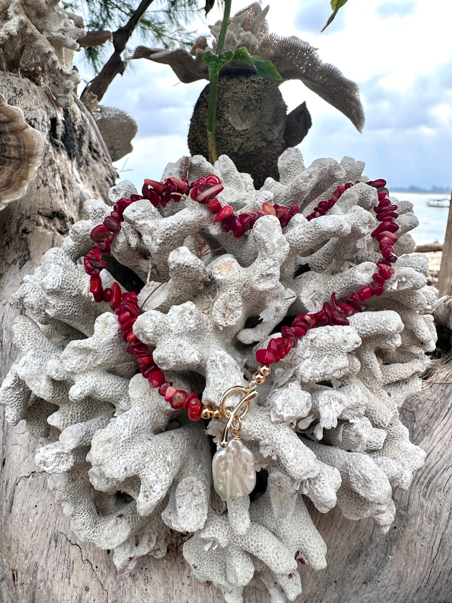 Necklace Coral Heat